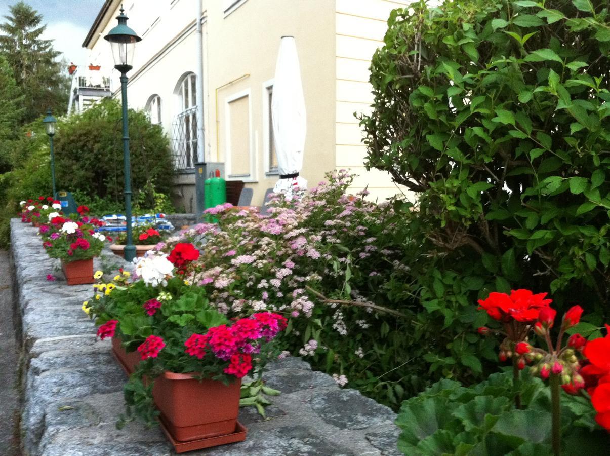 Babenbergerhof Hotel Ybbs an der Donau Exterior foto